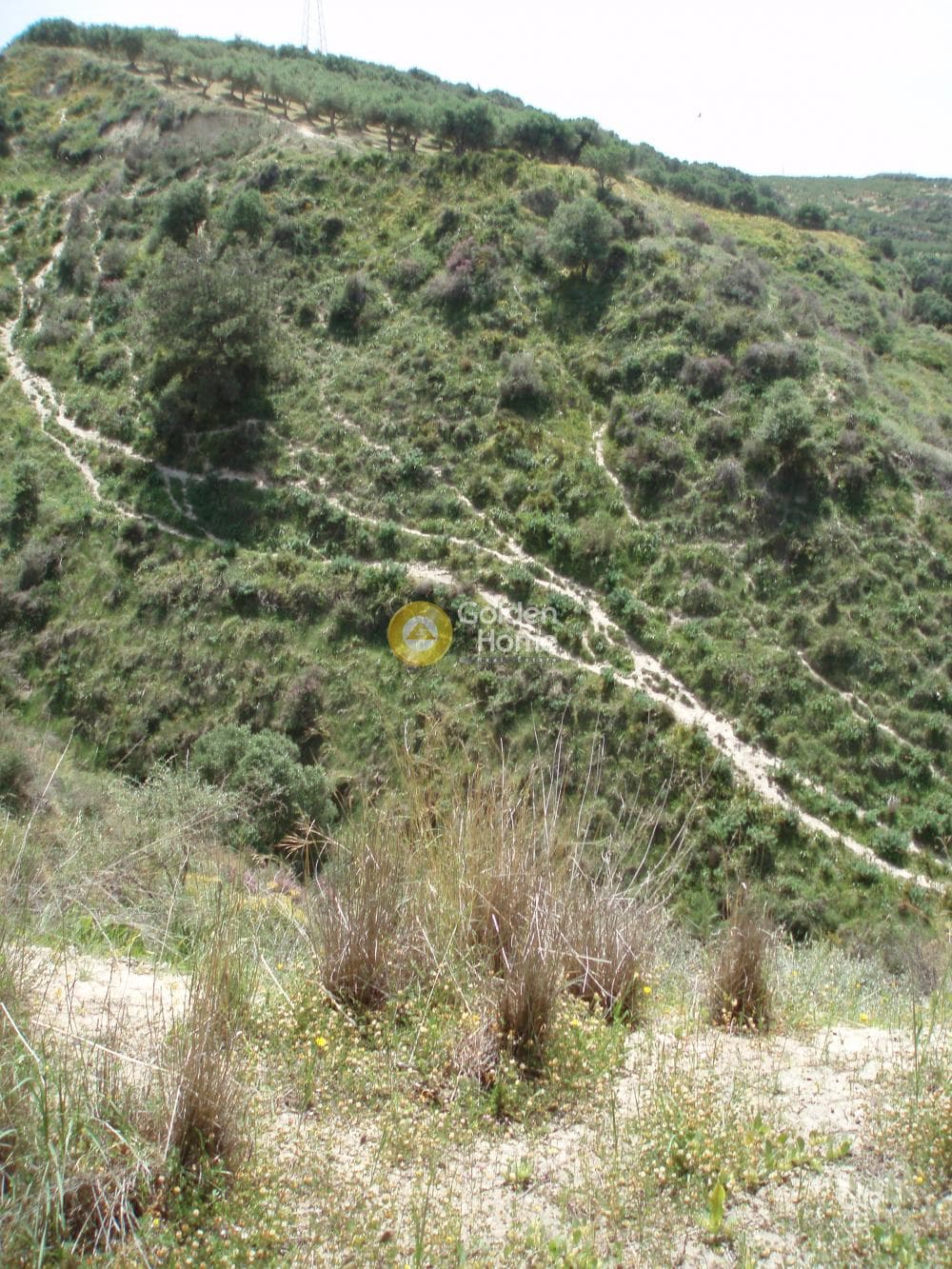 Parcel in Lofoupoli, Temenos — Photo 22 of 23