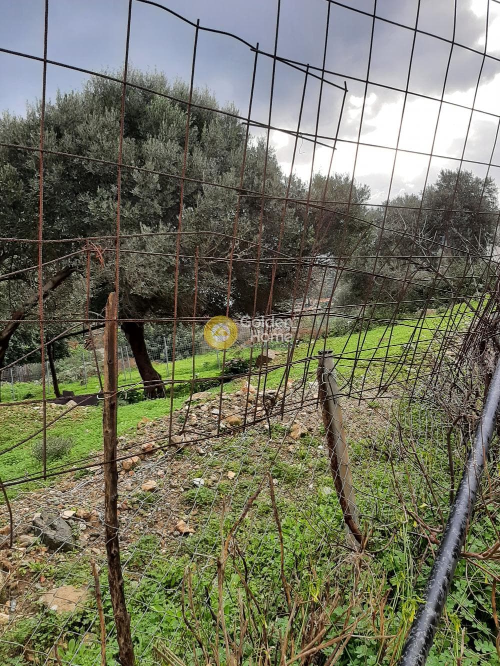Οικόπεδο στην Ρογδιά, Γάζι — Φωτογραφία 1 από 5