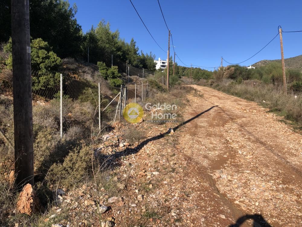 Οικόπεδο στην Δασαμάρι, Πικέρμι — Φωτογραφία 5 από 7