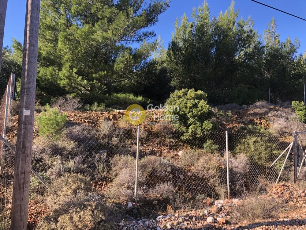 Οικόπεδο στην Δασαμάρι, Πικέρμι — Φωτογραφία 2 από 7