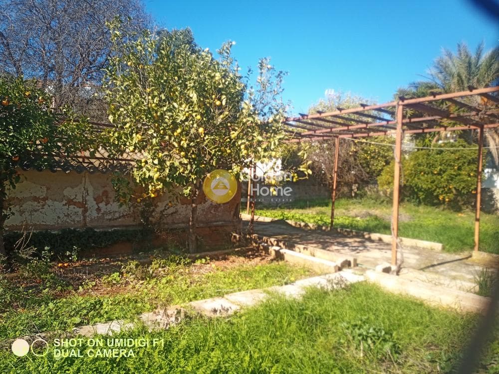 Building Plot in Kalivia, Kalivia Thorikou — Photo 3 of 4