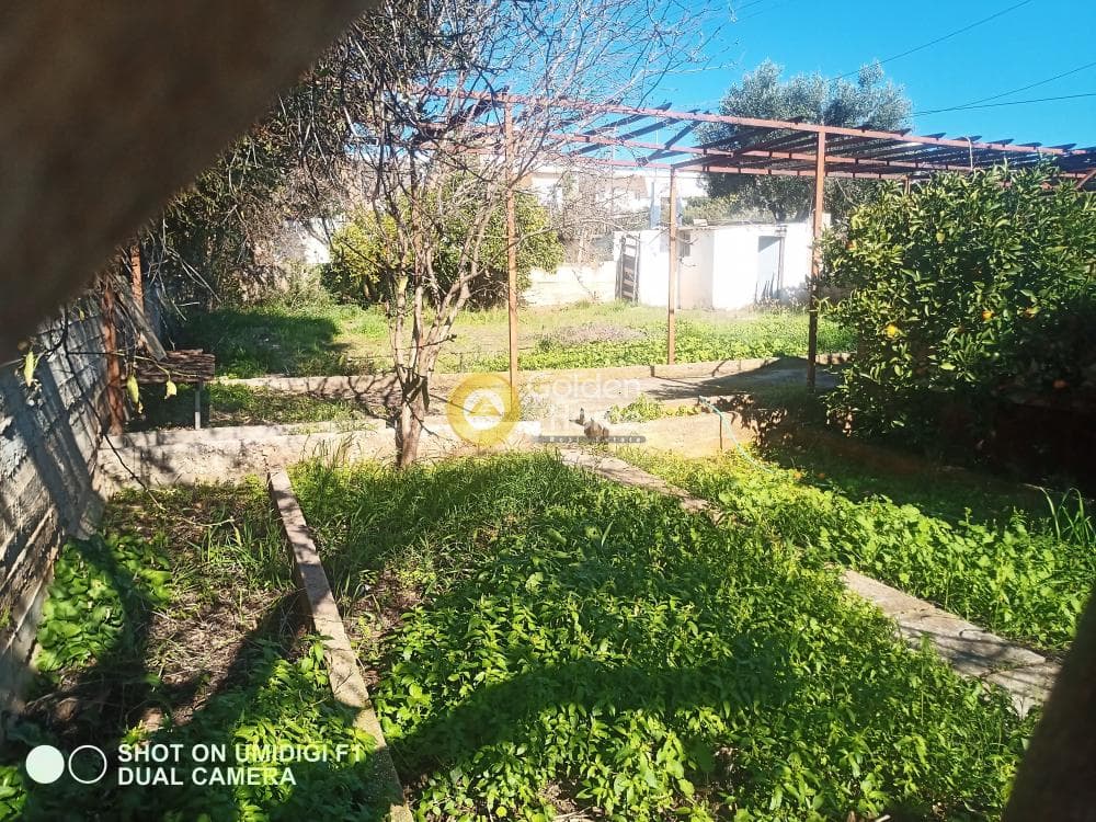 Building Plot in Kalivia, Kalivia Thorikou — Photo 4 of 4