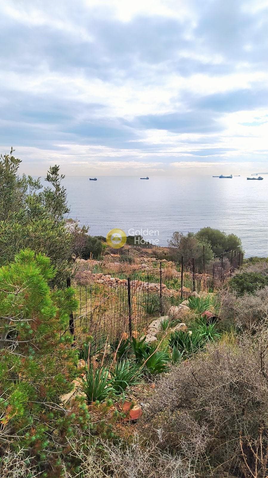 Οικόπεδο στην Κυνόσουρα, Αμπελάκια — Φωτογραφία 5 από 10