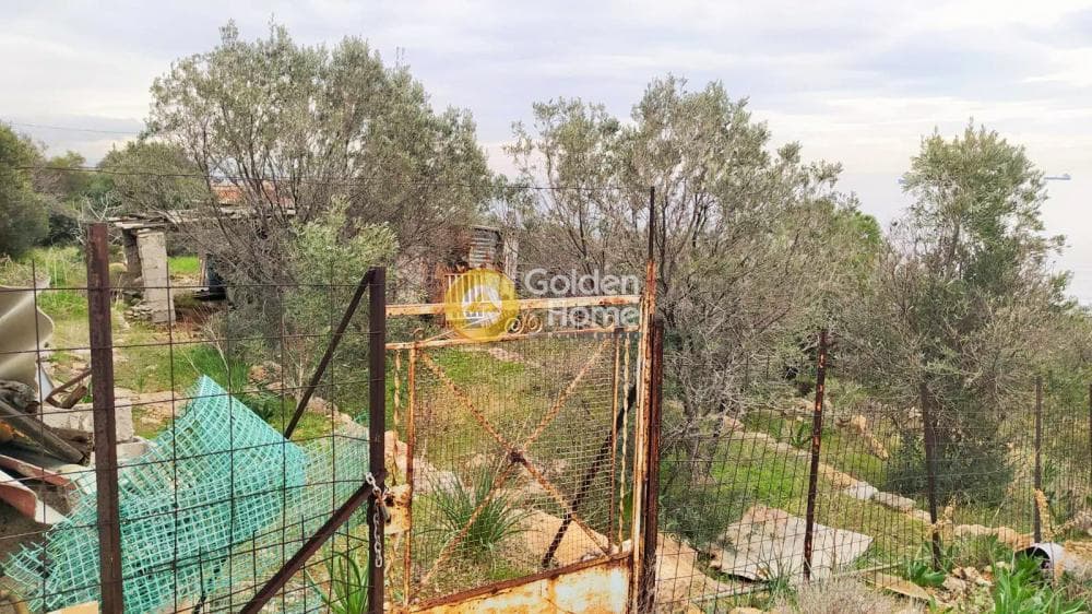 Οικόπεδο στην Κυνόσουρα, Αμπελάκια — Φωτογραφία 8 από 10