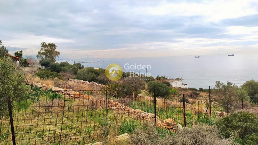 Οικόπεδο στην Κυνόσουρα, Αμπελάκια — Φωτογραφία 10 από 10