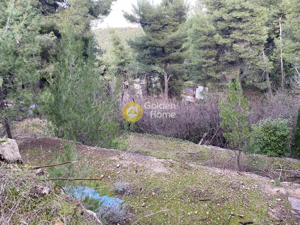 Οικόπεδο στην Δροσιά, Δροσιά — Φωτογραφία 1 από 6