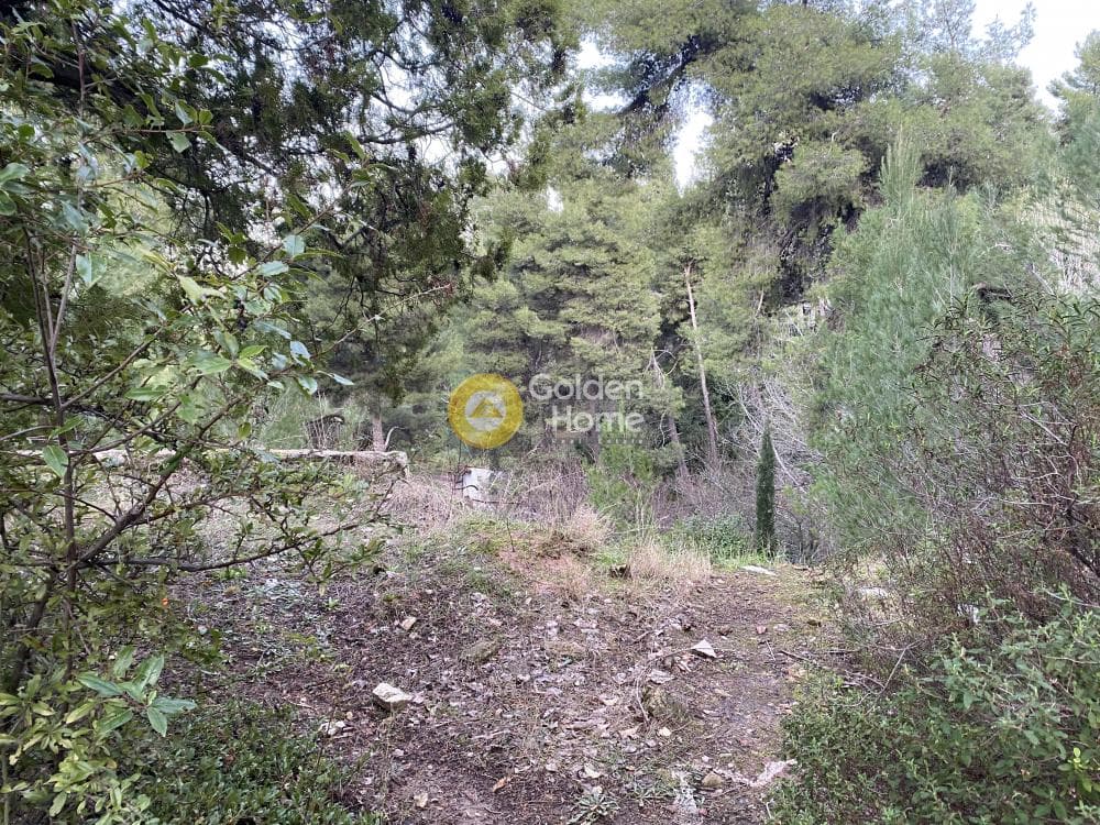 Οικόπεδο στην Δροσιά, Δροσιά — Φωτογραφία 2 από 6