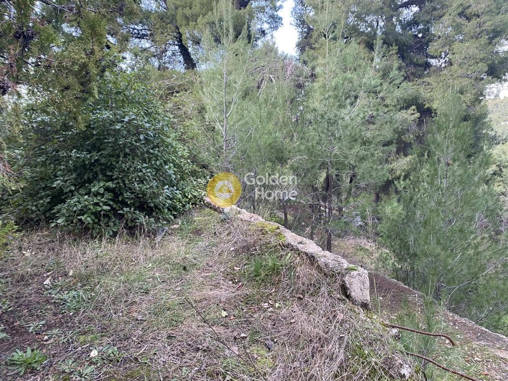 Οικόπεδο στην Δροσιά, Δροσιά — Φωτογραφία 4 από 6