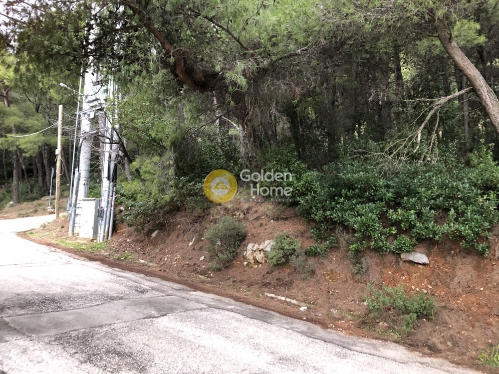 Οικόπεδο στην Μεγάλα Σχοινία Α, Αχαρνές — Φωτογραφία 6 από 8