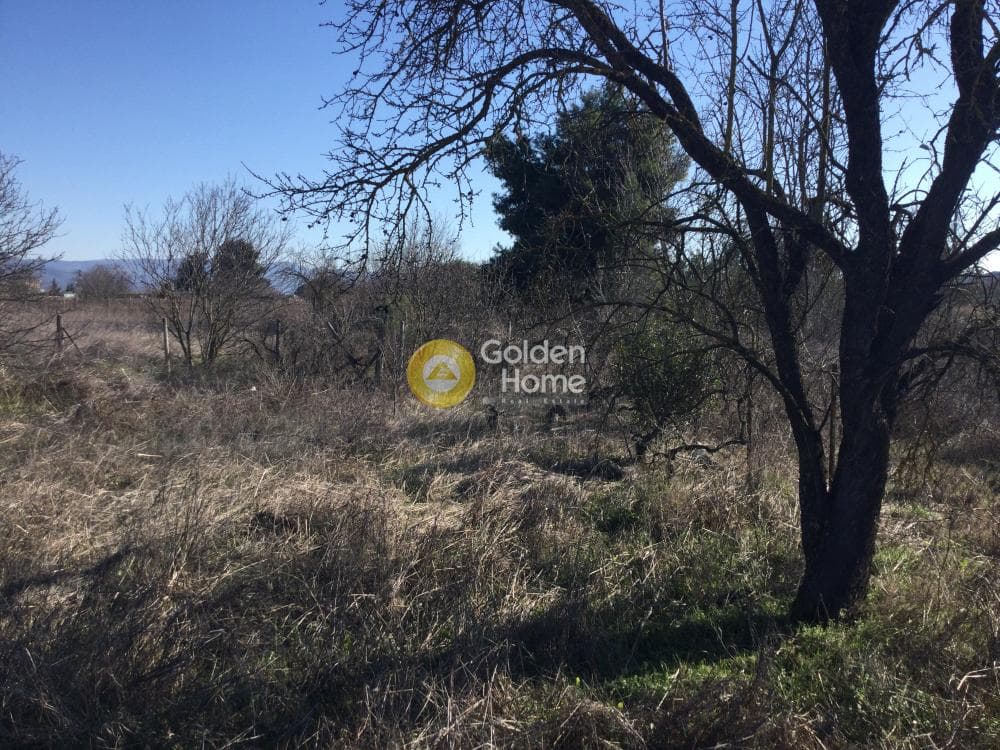 Αγροτεμάχιο στην Νέο Ρύσιο, Μίκρα — Φωτογραφία 2 από 2