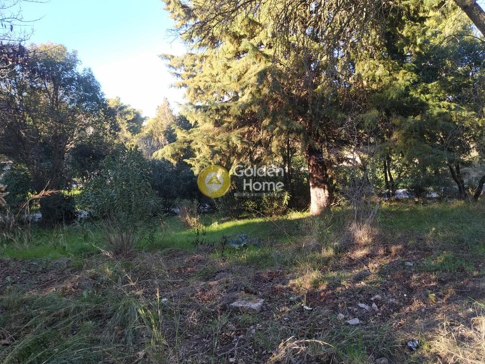Οικόπεδο στην Δροσιά, Δροσιά — Φωτογραφία 3 από 8