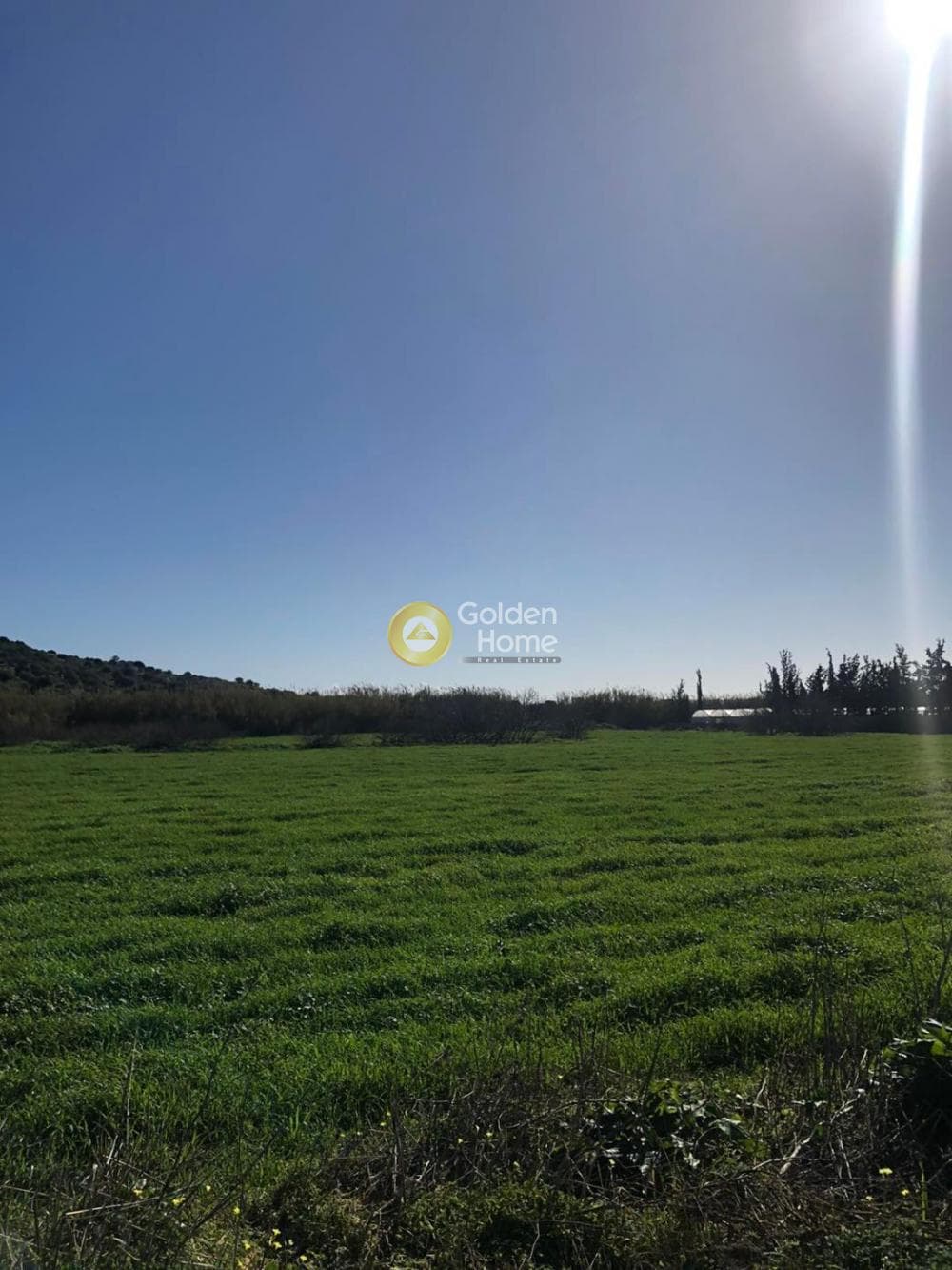 Αγροτεμάχιο στην Θορικό, Λαύριο — Φωτογραφία 3 από 13