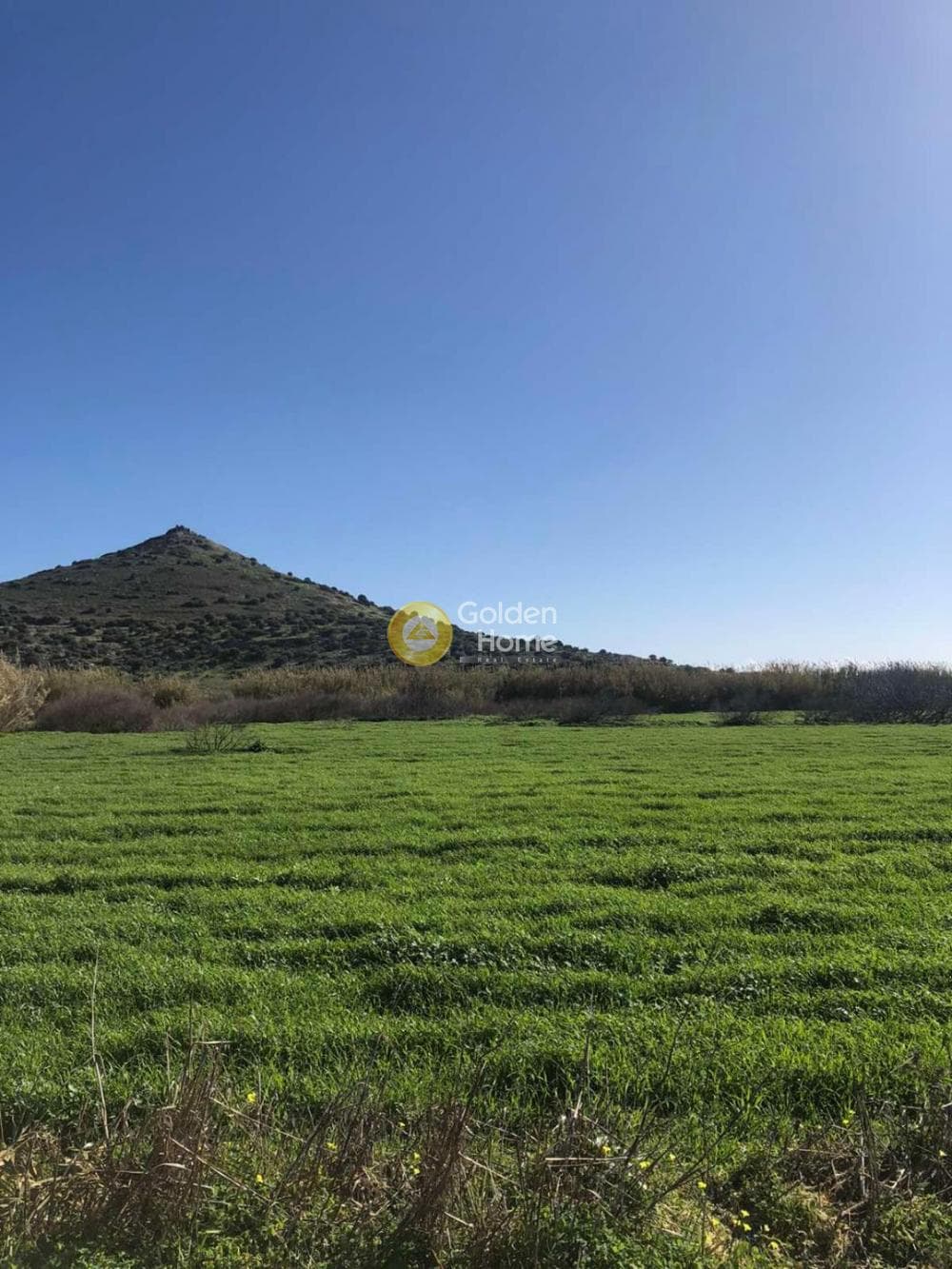 Αγροτεμάχιο στην Θορικό, Λαύριο — Φωτογραφία 4 από 13