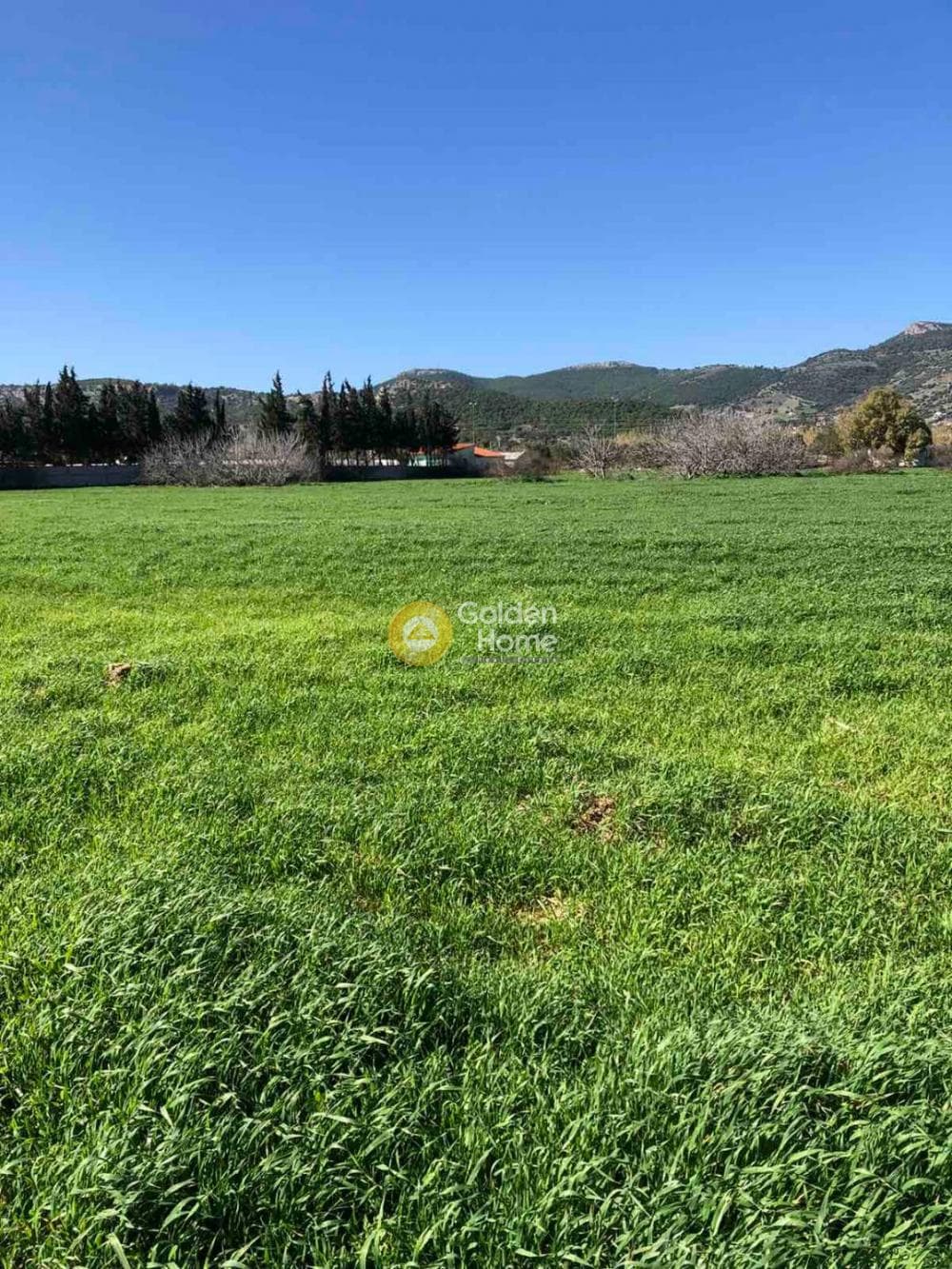 Αγροτεμάχιο στην Θορικό, Λαύριο — Φωτογραφία 10 από 13