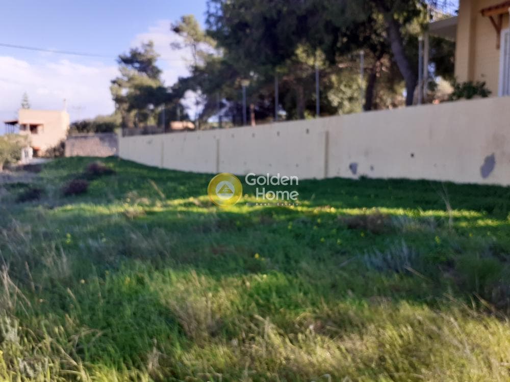 Building Plot in Vaΐa, Aegina — Photo 5 of 8