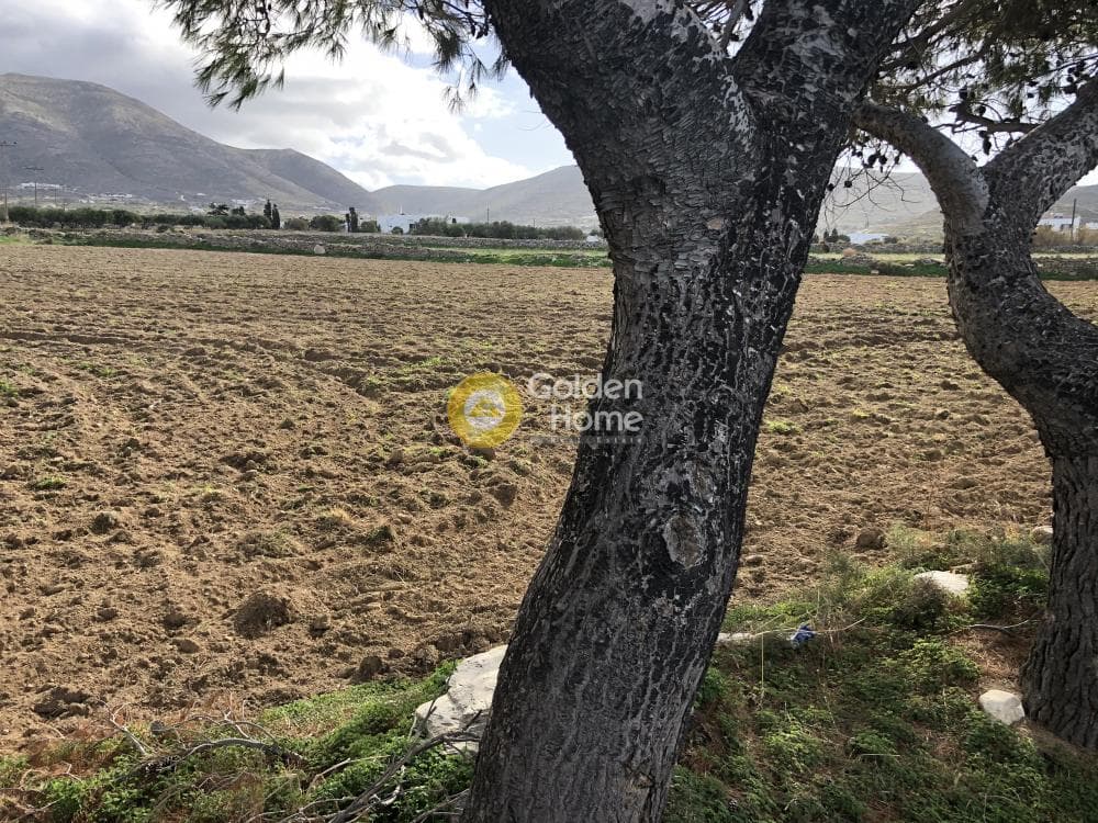 Αγροτεμάχιο στην Παράσπορος, Πάρος — Φωτογραφία 8 από 10