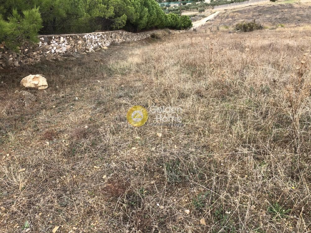 Parcel in Aliki, Paros — Photo 5 of 13