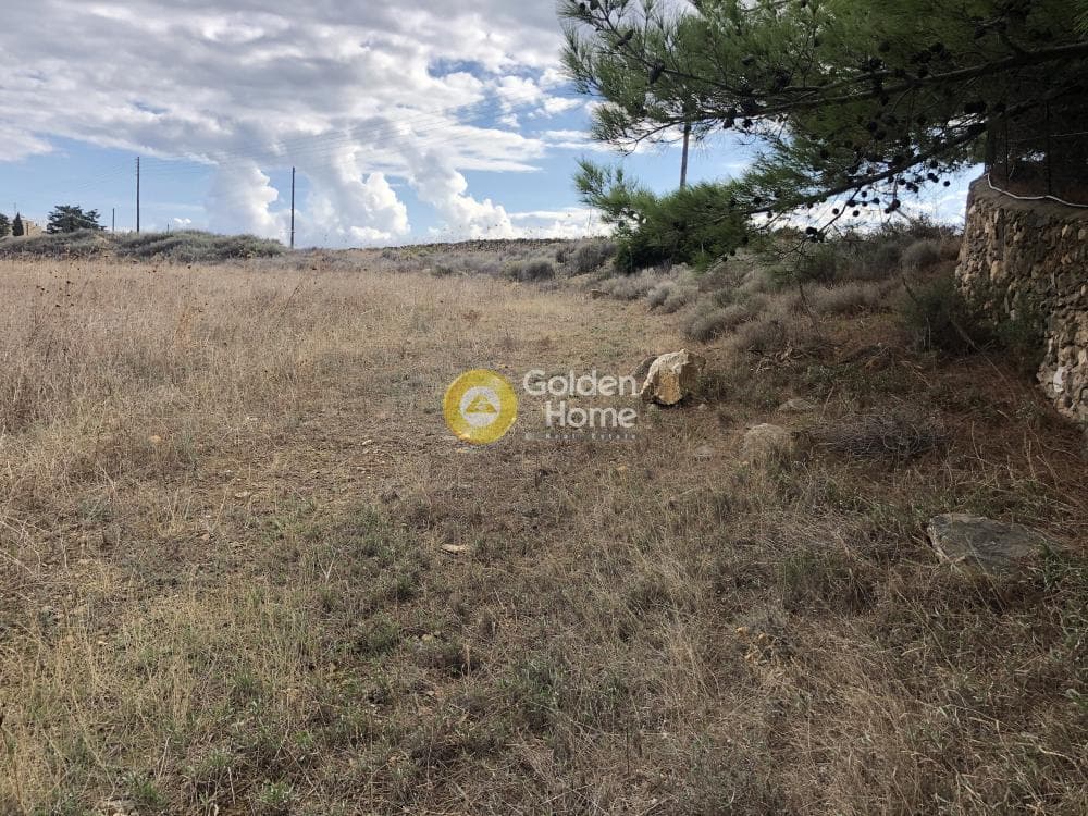 Parcel in Aliki, Paros — Photo 11 of 13