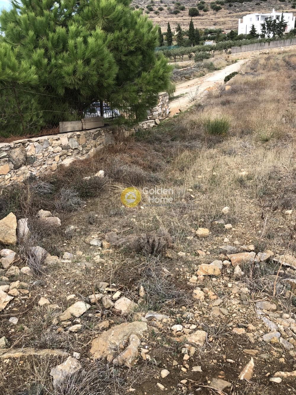 Parcel in Aliki, Paros — Photo 13 of 13