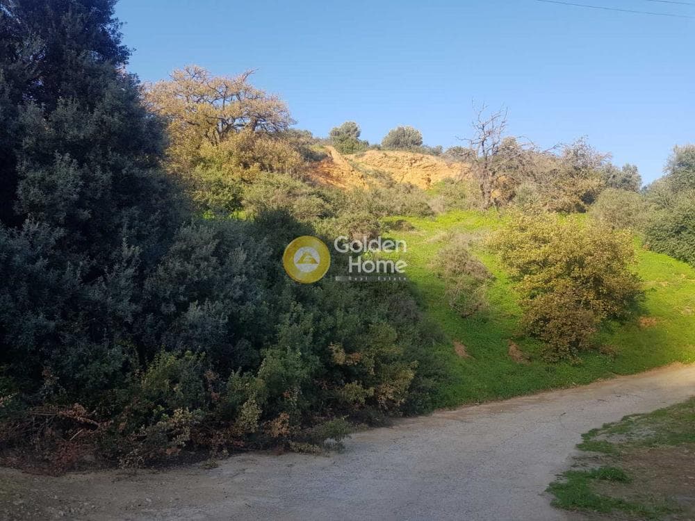 Building Plot in Rogdia, Gazi — Photo 3 of 13