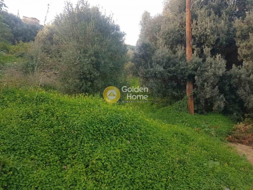 Building Plot in Rogdia, Gazi — Photo 4 of 13