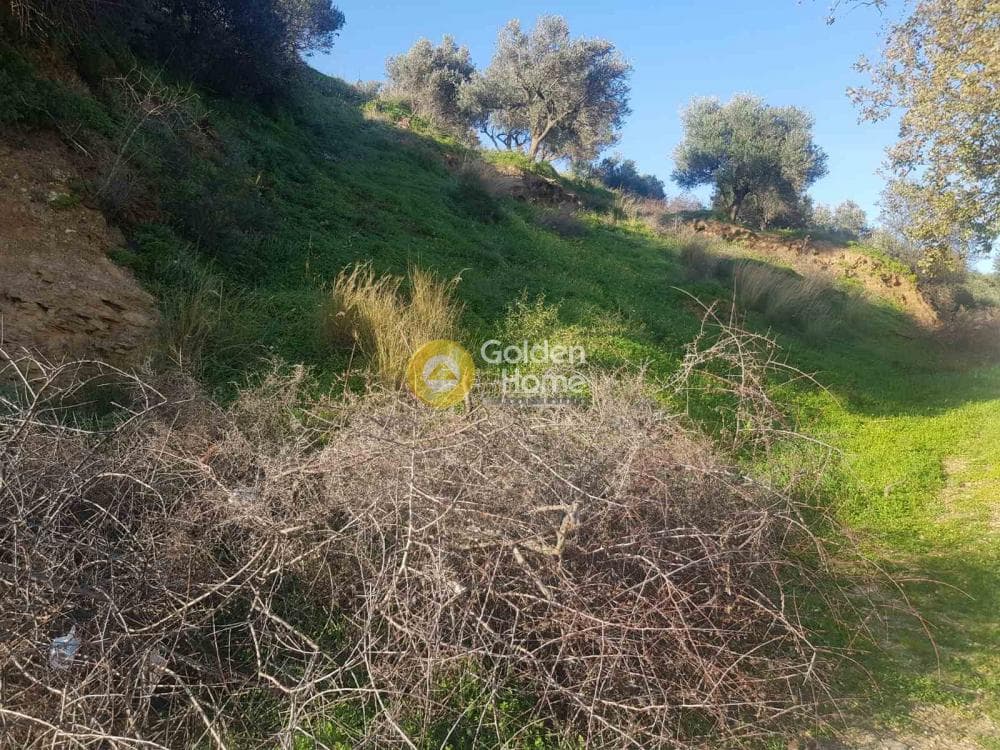 Building Plot in Rogdia, Gazi — Photo 9 of 13