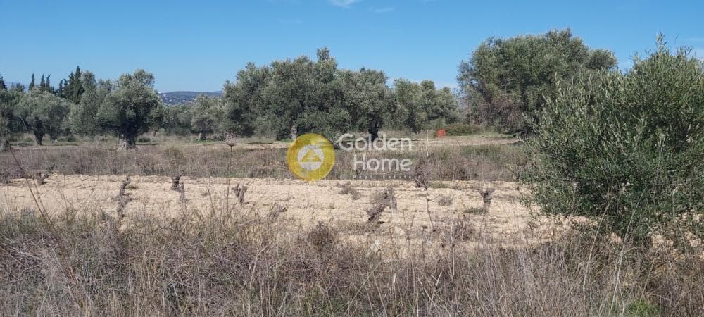 Parcel in Neapoli, Spata — Photo 6 of 13