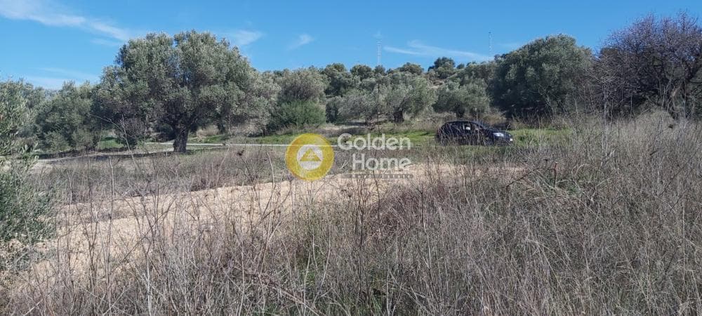 Parcel in Neapoli, Spata — Photo 7 of 13