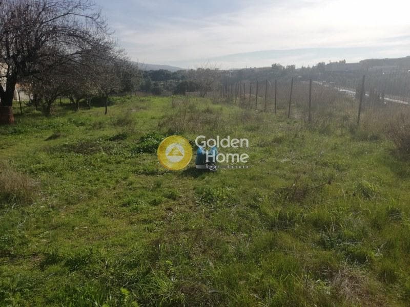 Αγροτεμάχιο στην Αδάμες (Οικισμός Γράμμος - Φοίνικας), Κηφισιά — Φωτογραφία 1 από 3