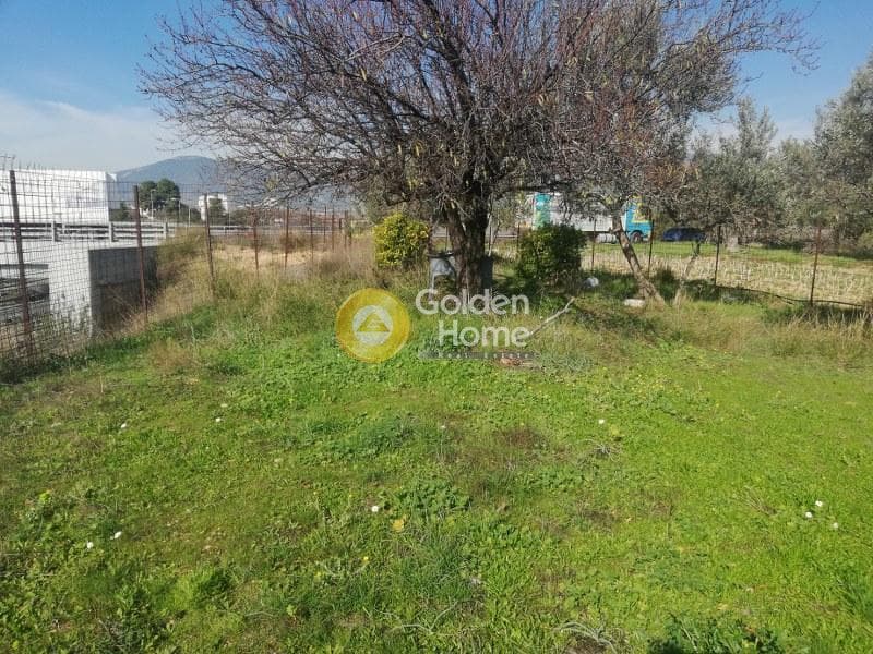 Αγροτεμάχιο στην Αδάμες (Οικισμός Γράμμος - Φοίνικας), Κηφισιά — Φωτογραφία 2 από 3