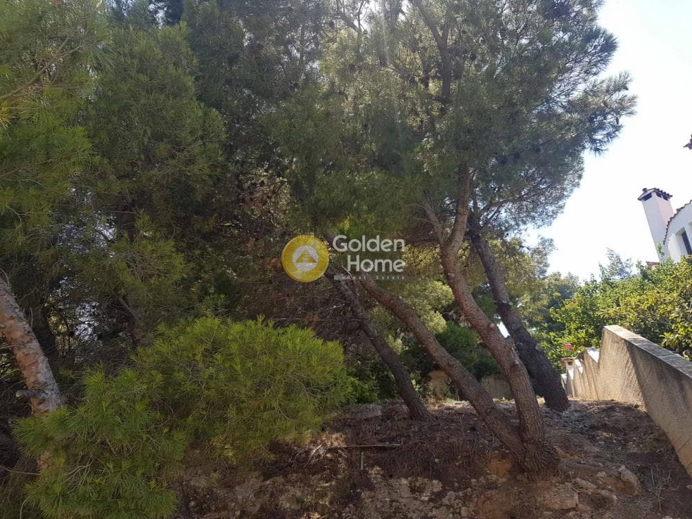 Building Plot in Kalitexnoupoli, Rafina — Photo 5 of 9