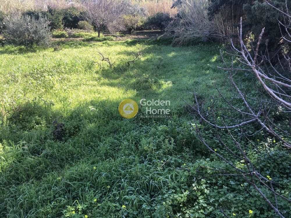 Parcel in Paroikia, Paros — Photo 4 of 9