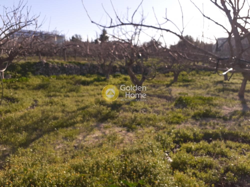 Building Plot in Kipseli, Aegina — Photo 1 of 16