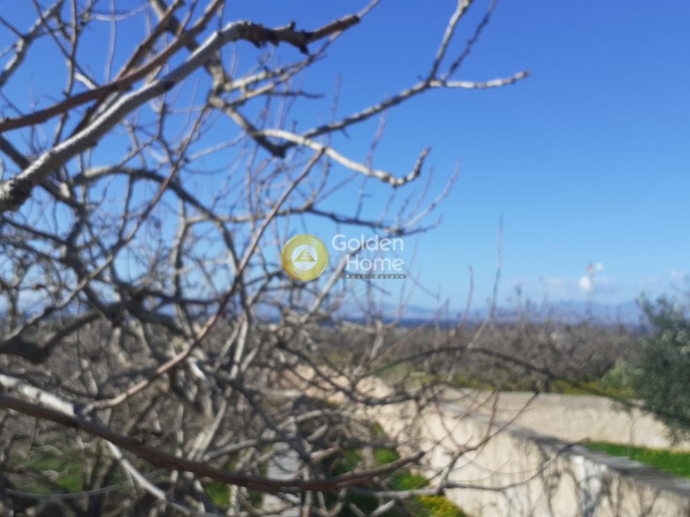 Οικόπεδο στην Κυψέλη, Αίγινα — Φωτογραφία 7 από 7