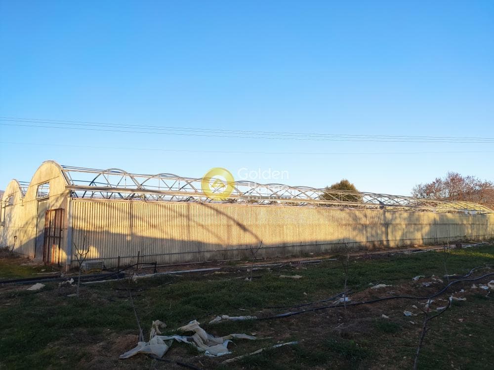 Parcel in Megala Sxoinia A, Acharnes — Photo 9 of 14