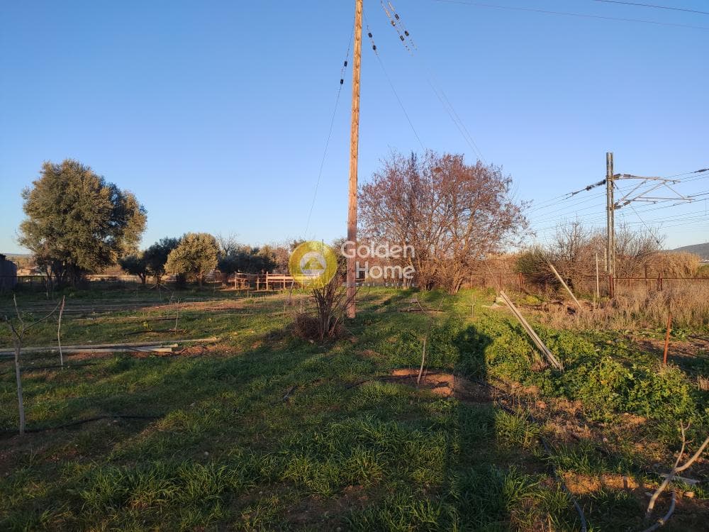 Parcel in Megala Sxoinia A, Acharnes — Photo 7 of 14