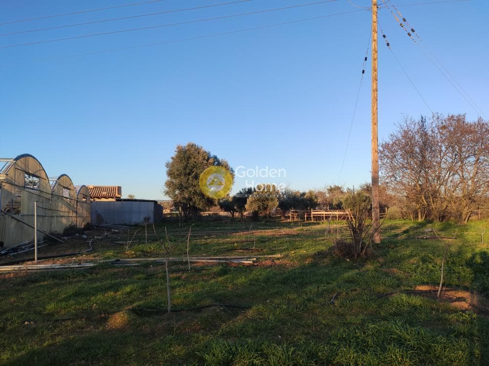 Parcel in Megala Sxoinia A, Acharnes — Photo 14 of 14
