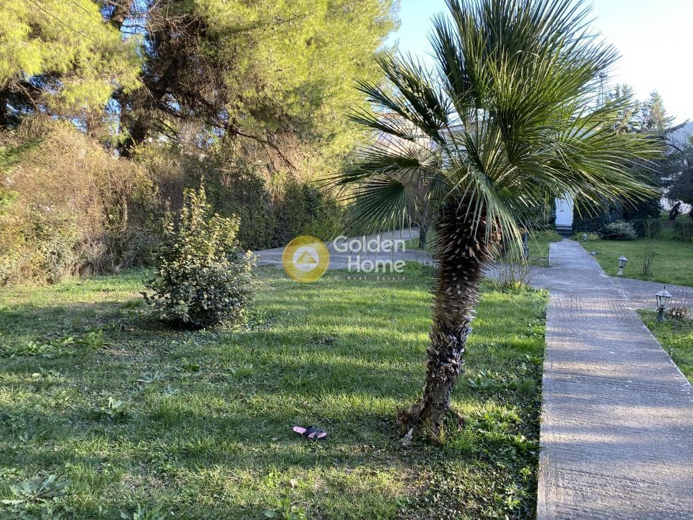Building Plot in Agioi Theodoroi, Anoixi — Photo 5 of 5