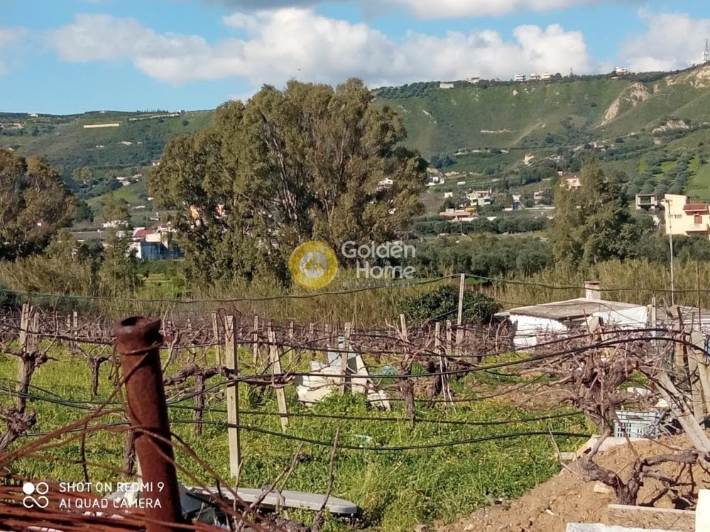 Building Plot in Lofoupoli, Temenos — Photo 7 of 8