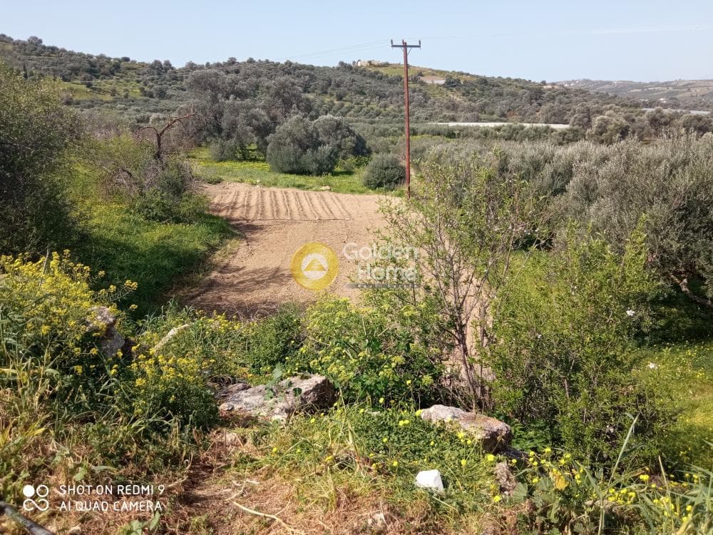 Parcel in Kouses, Moires — Photo 4 of 11