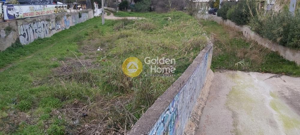 Αγροτεμάχιο στην Βορινέζα, Αρτέμιδα (Λούτσα) — Φωτογραφία 4 από 8