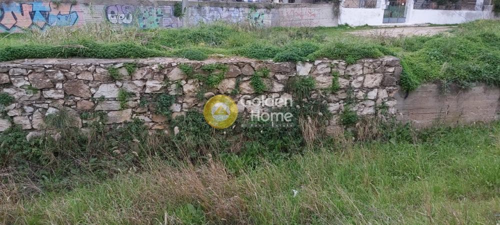 Αγροτεμάχιο στην Βορινέζα, Αρτέμιδα (Λούτσα) — Φωτογραφία 5 από 8