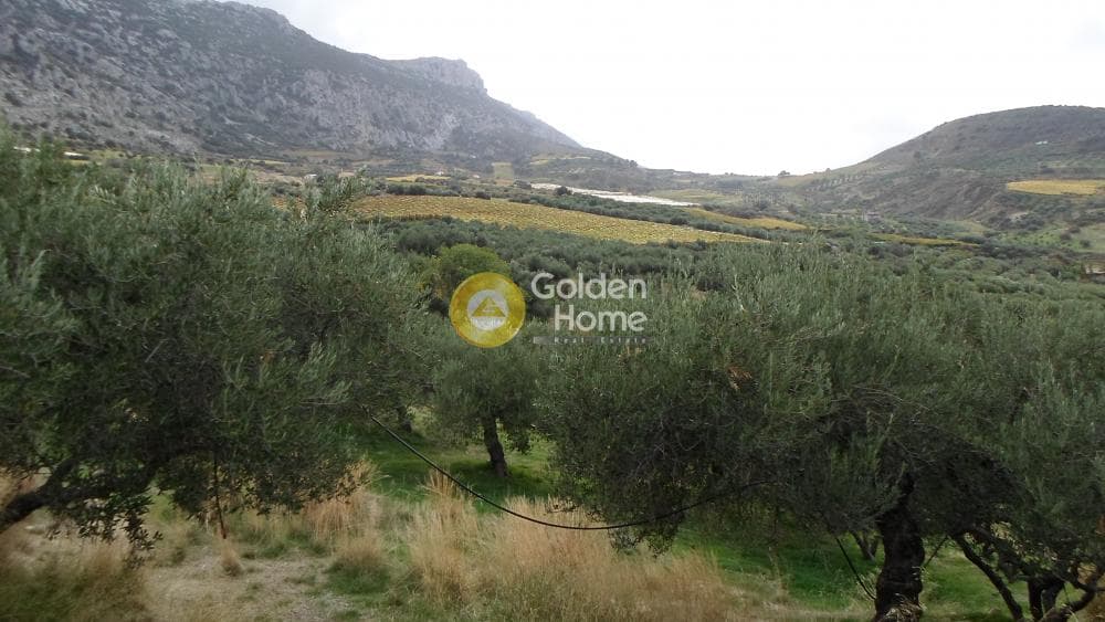 Οικόπεδο στην Άγιος Βλάσιος, Αρχάνες — Φωτογραφία 1 από 7