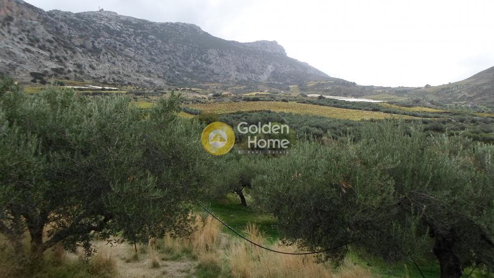 Οικόπεδο στην Άγιος Βλάσιος, Αρχάνες — Φωτογραφία 2 από 7