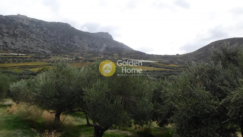 Οικόπεδο στην Άγιος Βλάσιος, Αρχάνες — Φωτογραφία 5 από 7