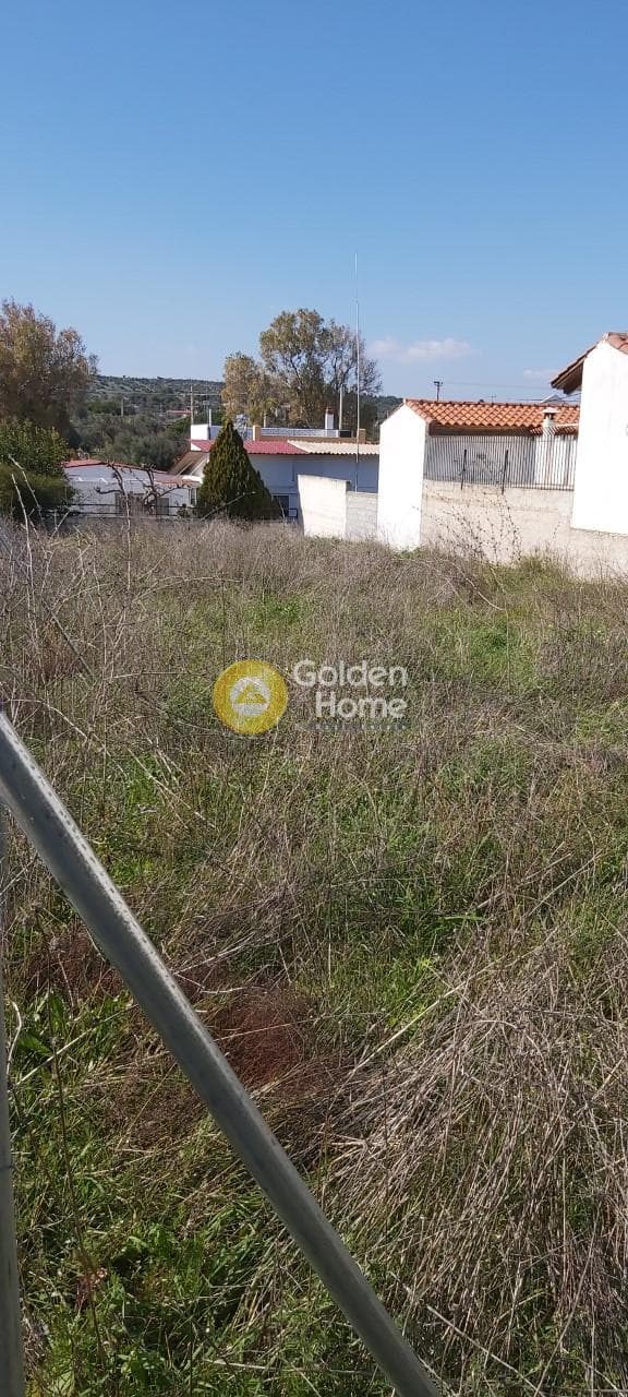 Building Plot in Agios Serafeim, Artemida (Loutsa) — Photo 3 of 9