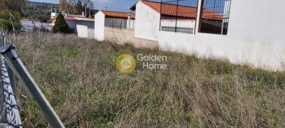 Building Plot in Agios Serafeim, Artemida (Loutsa) — Photo 4 of 9