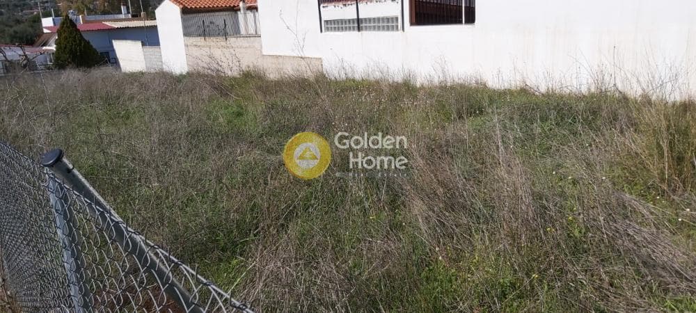 Building Plot in Agios Serafeim, Artemida (Loutsa) — Photo 5 of 9