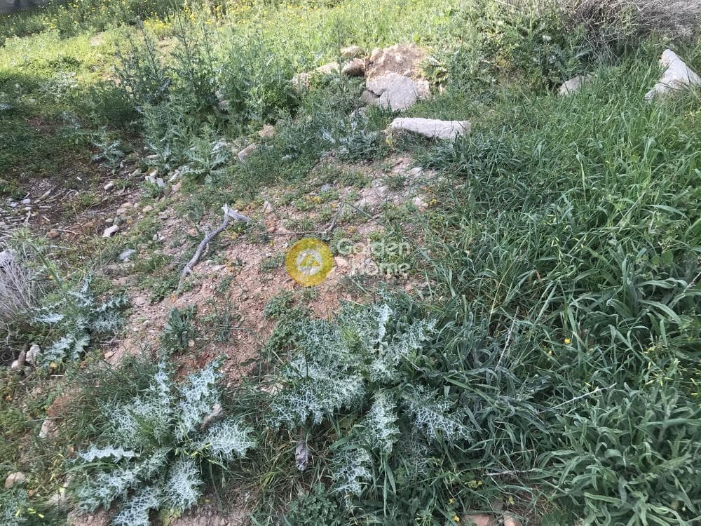 Αγροτεμάχιο στην Μαύρο Λιθάρι, Σαρωνίδα — Φωτογραφία 3 από 12