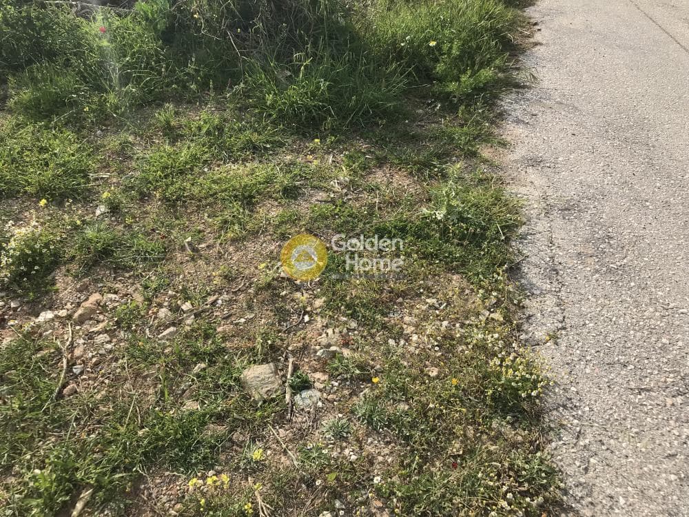 Αγροτεμάχιο στην Μαύρο Λιθάρι, Σαρωνίδα — Φωτογραφία 4 από 12